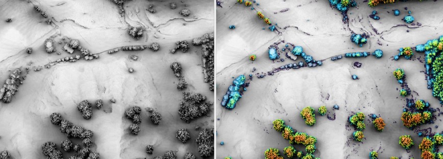 LiDAR images showing daylight and shadow images overlaid over canopy height layers. LiDAR images showing daylight and shadow images overlaid over canopy height layers.